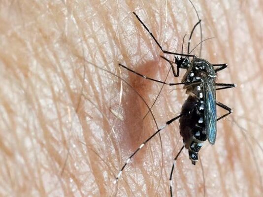 Dia D de combate ao Aedes aegypti acontece neste sábado em todo o país