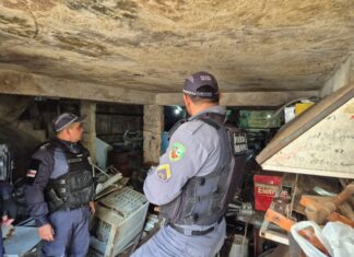 CIF fiscaliza estabelecimentos de sucatarias no Centro e na zona sul de Manaus