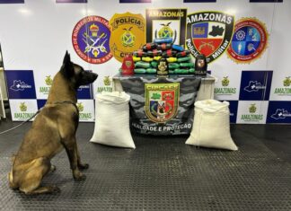 Bases fluviais impulsionam apreensão de entorpecentes no Amazonas, aponta Fórum Brasileiro de Segurança Pública