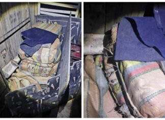 Operação da COE prende responsável por flutuante usado para esconder mais de 200 kg de skunk