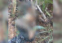 Corpo em decomposição é encontrado no Tarumã com objeto inserido no ânus