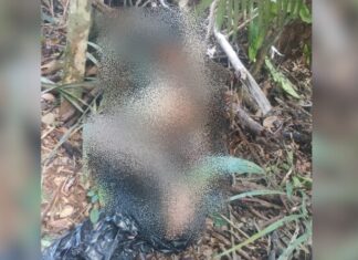 Corpo em decomposição é encontrado no Tarumã com objeto inserido no ânus