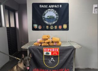 Base Arpão 2: PMAM apreende 15 quilos de drogas em duas ações na mesma embarcação.