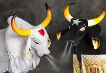 MP entra com agravo para barrar retomada das vendas do Festival de Parintins 2026