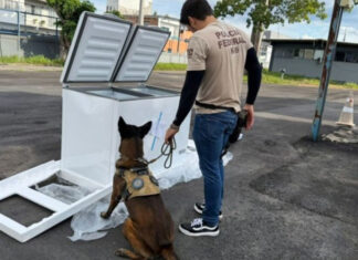 Droga e armas são encontradas em caminhão de frete durante operação policial em Manaus