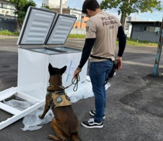 Droga e armas são encontradas em caminhão de frete durante operação policial em Manaus