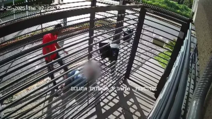 Captura-de-tela-2025-12-28-190658-e1766959664362