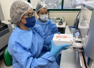 Surto de Oropouche na Amazônica Ocidental foi causado pelo inseto maruim