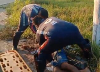 Queda de moto deixa condutor ferido na Cidade Nova em Manaus