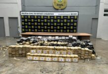 Polícia Militar do Amazonas apreende mais de uma tonelada de entorpecentes em micro-ônibus na AM-010