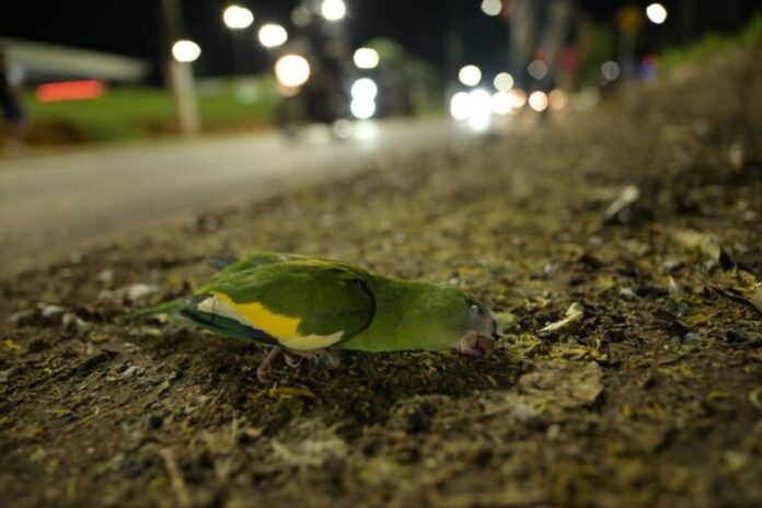 WhatsApp-Image-2025-12-27-at-18.57.28-1024x683