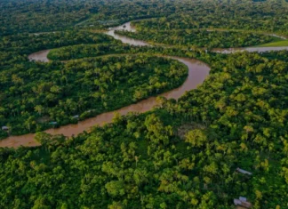 Presença do Estado contra o desmatamento contribui para queda de assassinatos na região