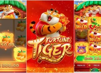 Ação federal mira beneficiários que usam casas de aposta e pode reduzir lista do Bolsa Família em mais de 20%