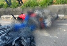 VÍDEO: Motociclista morre após ser esmagado por carreta na Bola da Samsung