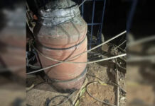 Mãe é morta a pauladas e corpo ocultado; filha e namorado confessam o crime