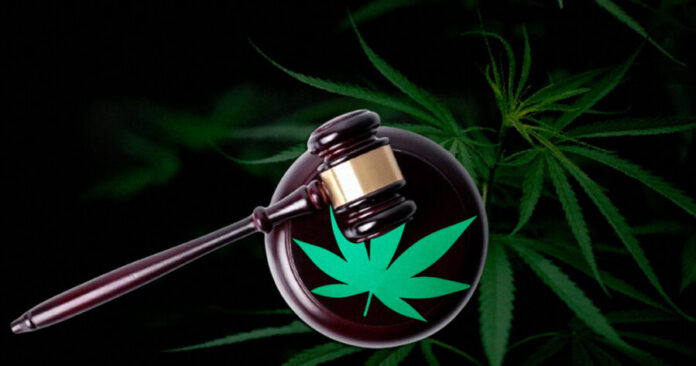 20240719_capa-descriminalizacao-maconha