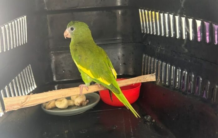 2d1912be-26e6-4571-b18e-ecb638bcc88e-1024x650