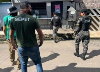 Homem é preso após denúncia de zoofilia envolvendo cadela em Manaus