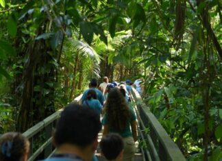 Balanço 2025: Ipaam registra crescimento de 156% nas ações de educação ambiental