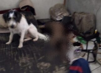 Corpo de homem é encontrado em casa na Redenção após suspeita gerada por odor forte e moscas