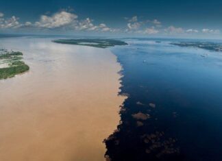 Manaus figura no Top 5 do turismo nacional e supera destinos tradicionais de praia