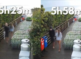 Investigação sobre morte de Orelha identifica um adolescente como principal agressor