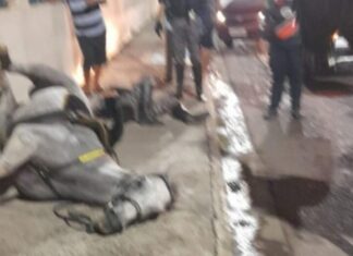 Motorista foge após atingir cavalo da PMAM e policial em Manaus