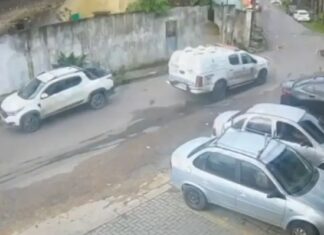 PMs que atropelaram dois cães em Manaus são afastados