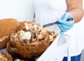 Governo do Amazonas lança 15 novos editais no valor de mais de R$ 81 milhões