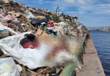 Perna humana é encontrada por trabalhadores da Semulsp em igarapé da capital