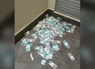 PF flagra suspeito lançando mala com cédulas durante operação em SC