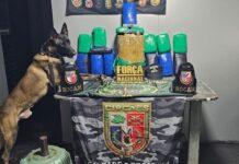 Embarcação que seguia para Manaus transportava 60 kg de cocaína; passageira é presa