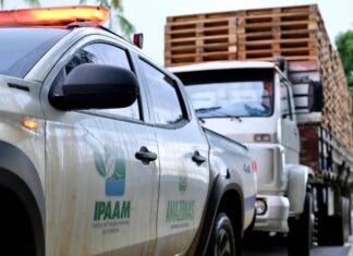 Ipaam doa 300 paletes de madeira apreendidos para Defesa Civil do Amazonas e de Manaus