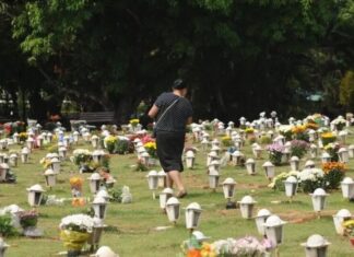 Cães e gatos agora podem ser sepultados em jazigos familiares em São Paulo