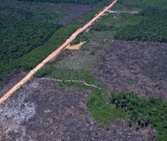 Alertas de desmatamento caem 35% na Amazônia e 6% no Cerrado