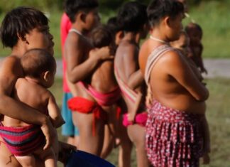 Governo intensifica combate à coqueluche na Terra Indígena Yanomami com equipe emergencial