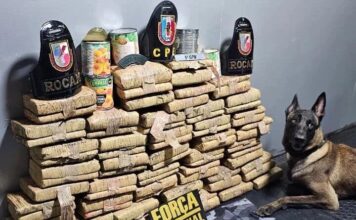 Polícia do Amazonas apreende mais de 70 kg de drogas em operação na Base Arpão 2