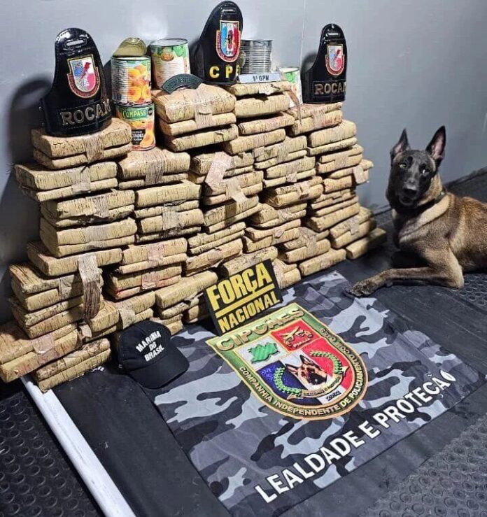 Polícia do Amazonas apreende mais de 70 kg de drogas em operação na Base Arpão 2