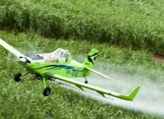 Estudo revela aumento da toxicidade de agrotóxicos no mundo; Brasil é destaque