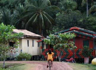 Amazônia Legal concentra quase metade dos conflitos de terra no Brasil em 2023, aponta estudo