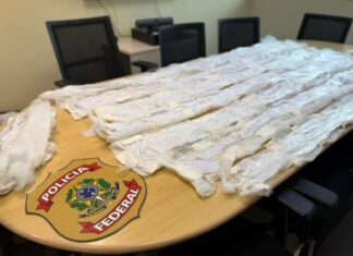 Tentativa de envio de droga para a Austrália termina com dupla presa durante fiscalização nos Correios em Manaus