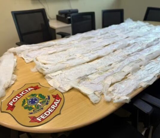 Tentativa de envio de droga para a Austrália termina com dupla presa durante fiscalização nos Correios em Manaus