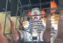 Escola de samba se diz alvo de perseguição por enredo pró-Lula no Carnaval