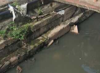 Criminosos matam homem a tiros na Compensa; vítima não resiste nos braços da mãe