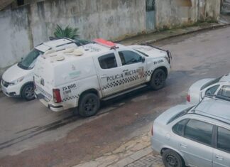 Motorista de viatura da PM é detido após matar dois cães em atropelamento registrado por câmeras