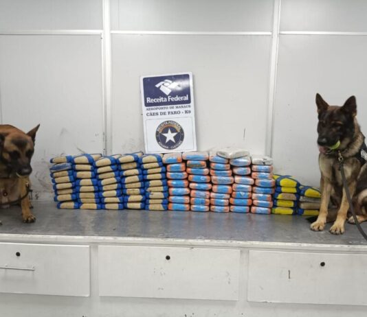 Skunk é apreendida em carga de polpa de açaí durante fiscalização da Receita Federal em Manaus