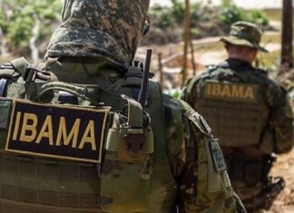 Fiscais do Ibama sofrem emboscada durante operação contra madeira ilegal no Amazonas
