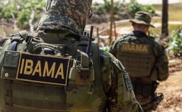 Fiscais do Ibama sofrem emboscada durante operação contra madeira ilegal no Amazonas