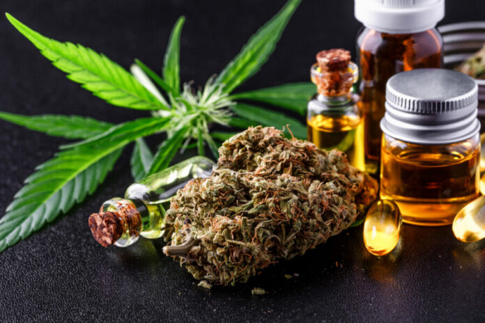 Medical marijuana flower buds. Recreational marijuana strain. Cannabis strain. Weed bud in the glass jar. Dispensary menu. Hemp buds.isolated on black - medical marijuana concept