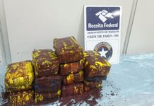 Skunk de 100 kg é apreendida pela Receita Federal em remessa de açaí no aeroporto de Manaus